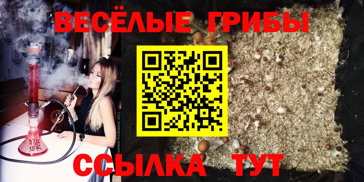 Галлюциногенные грибы мицелий  Псилоцибиновые грибы мицелий  Киреевск  Вход с VPN 